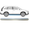 Reparatie dorpel