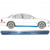 Reparatie dorpel