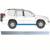 Binnenste reparatie dorpel