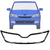 Frame van de grille