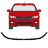 Frame van de grille