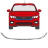 Frame van de grille